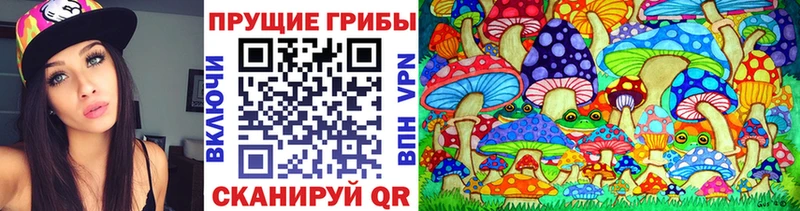 сколько стоит  Валдай  Галлюциногенные грибы GOLDEN TEACHER 
