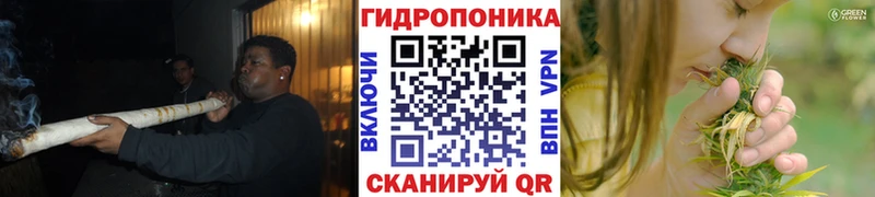 Каннабис AK-47  где купить наркоту  kraken tor  Валдай 
